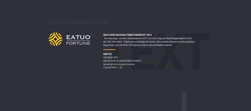 塑造卓越形象，鑄就財富投資企業(yè)的品牌之光